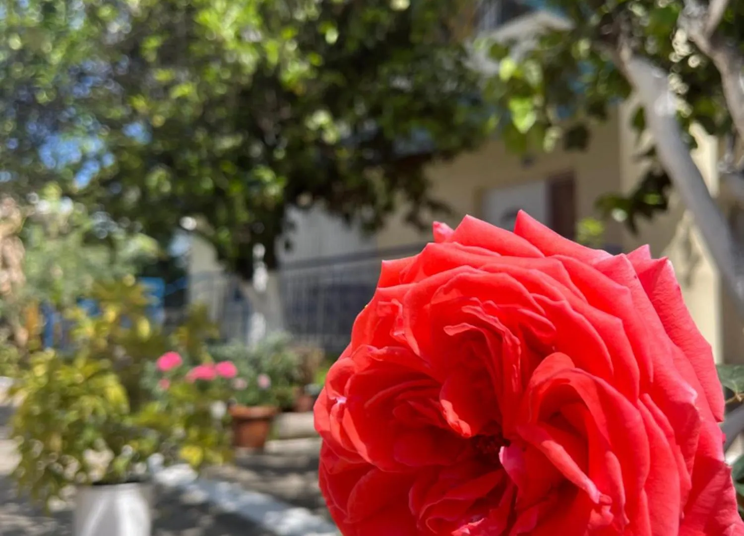 Hotel Portokali Himarë Albánie